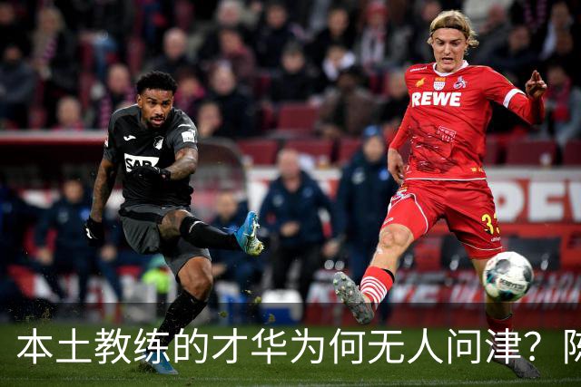 本土教练的才华为何无人问津？陈洋的困惑之路